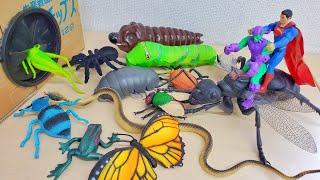 Various Insects Bugs Animals crawl into the Spo Spo Garage Box Ride on Giant Ant