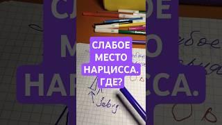 Слабое место нарцисса. Как узнать что боится нарцисс