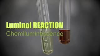 Glowing Reaction- Luminol Chemistry Experiment