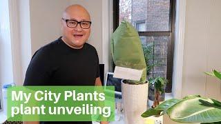 My City Plants plant unveiling