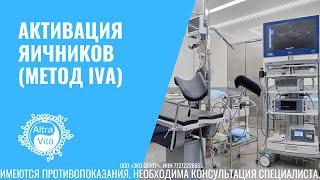 Активация яичников (метод IVA) | низкий АМГ