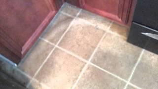 1551 Onalee Dr_Hampton_Move In_7/19/2014