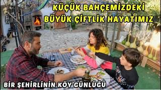 KÜÇÜK BAHÇEMİZDEKİ BÜYÜK ÇİFTLİĞİMİZ | BİR ŞEHİRLİNİN KÖY GÜNLÜĞÜ | KÖY EVİMİZ VE KÖY HAYATIMIZ