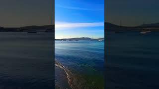Жизнь на море. Осень в Геленджике. #shorts