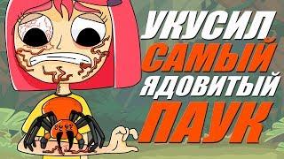 Меня укусил самый ядовитый паук (Анимация)