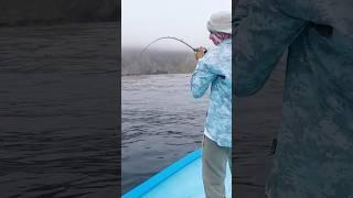 First catch at a small island 15 miles off shore Baja California, Mexico