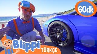 Blippi ile Spor Arabaları Keşfet ️ Blippi Türkçe - Çocuklar için Eğitici Videolar