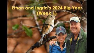 Ethan and Ingrid's 2024 Big Year (Week 1)