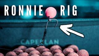 Is the Ronnie Rig / Spinner Rig the Best Carp Rig?