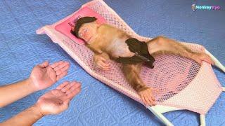 When baby monkey Kyo was unwell, what did Dad do to help Kyo get well soon?