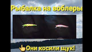 Рыбалка на спиннинг с лодки, троллинг #рек #рыбалка #рыба