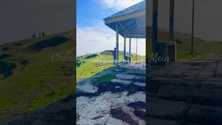 Spread love everywhere you go#shorts #shortsvideo #shortvideo #viralvideo #viralshorts #nature