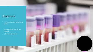 An Introduction to Candida Auris