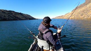 I Can't Keep Fish OFF My Line!