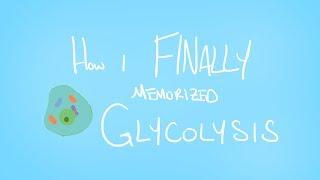 How I FINALLY memorized GLYCOLYSIS