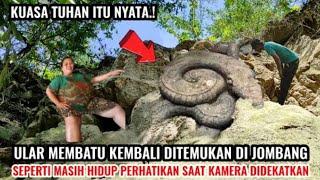 Asli bikin deg² kan...ular membatu di sungai purba Jombang seperti hidup.. viral di Jawa timur.