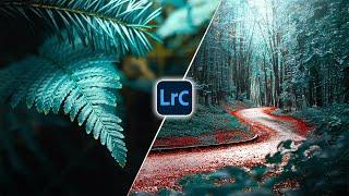 Unlock Stunning MOODY GREEN Tones in Lightroom – A Beginner's Guide!