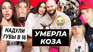 У Джигана и Оксаны умерла коза / Милана и Лера увеличили губы / Хазяева приехали к Плохому парню