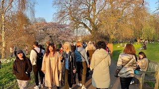 London Spring Walk | St. James’s Park to Trafalgar Square   | Central London [4K HDR]