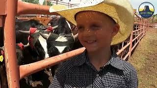 Baze Negaard • Mutton Bustin' • Hulett, Wyoming Rodeo