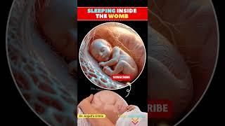 Dreaming in the Womb: A Baby's Quiet Journey