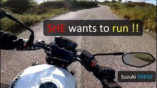 Suzuki SV650 | She wants to run