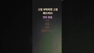 반모ㄱㄴ)고정해드림(이제부터
