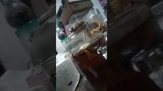 teh kemebul #teh #fyp #didiksukan #gomusic_rek #minumanotentik
