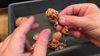 Расчет толщины скорлупы орехов для Э/М. колки от Walnuts Broker