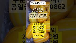#참외 #fruit #농가살리기