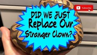 DID OUR STRANGER CLOWN JUST GET REPLACED?!?  ||  INSANE PICKUP AT BLUE LINE MORPHS!!