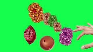 asmr green screen treatment animation video