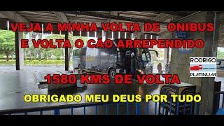 Veja A Minha Volta de Onibus E Volta O Cão Arrependido Mais 1580 kms OBRIGADO MEU DEUS POR TUDO