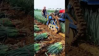 #shorts #agritools #farming2024 #agriculture  #JIKreactionagritools in farming 2024