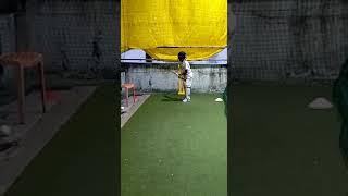 Arya's Cricket Practice