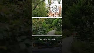 Готовы влюбиться в новую профессию? Смотрите закреплённый комментарий #дизайн #вид #ландшафт #школа
