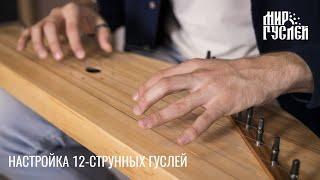 Настройка 12-струнных гуслей