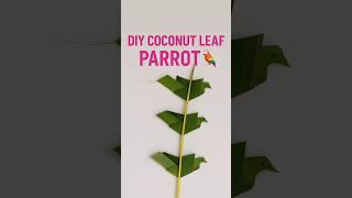 Made This Parrot from Coconut Leaves! 