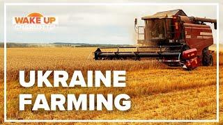 How farming in Ukraine impacts the global market