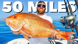 Fishing 50 Miles Offshore for Red Snapper & Grouper (Tampa Bay, Florida)