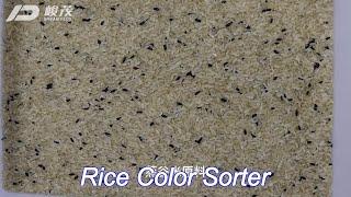 64 channels rice color sorter from china sorting machine for rice mill