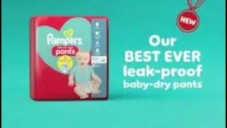 Pampers Baby Dry Nappy Pants