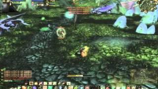 [WoW PvP] Drakedog 9 Edited by Vurtne