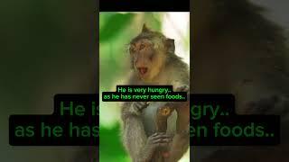 #hungry#viralvideo s