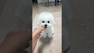 공주는 큰 까까 못먹어. 짤라와 당장.