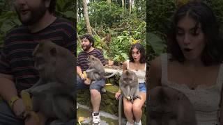I Went on Vacation With a Monkey #shorts