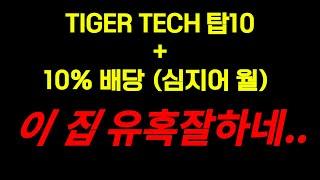 미국 탑 기술주 +1년  10% 배당이자를 동시에 받아보자 [TIGER 테크탑 10 + 10% 배당]