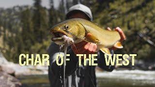 Char of the West - A Fly Fishing Film (Part 1)