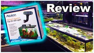 Aqueon Freshwater Clip On LED Aquarium Light Review: How Did it Do?