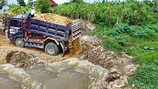 New Project!Dump Truck Fill Stone Construction New Road Contact Canal,Bulldozer D20P Pushing Perfect